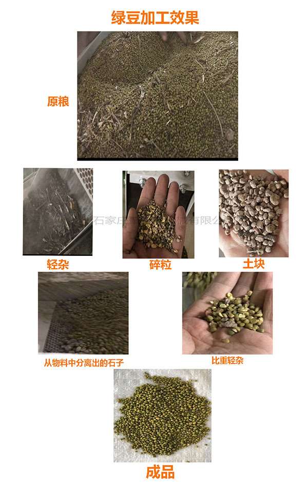 綠豆生產(chǎn)線效果圖.jpg